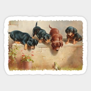 Dachsund puppies meet a frog Sticker